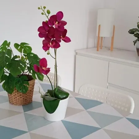 Apartmán Ensan Ciprian Jardines Del Mar *
