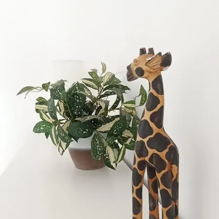 Apartmán Ensan Ciprian Jardines Del Mar *